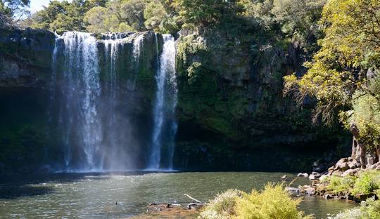 Rainbow Falls Kerikeri